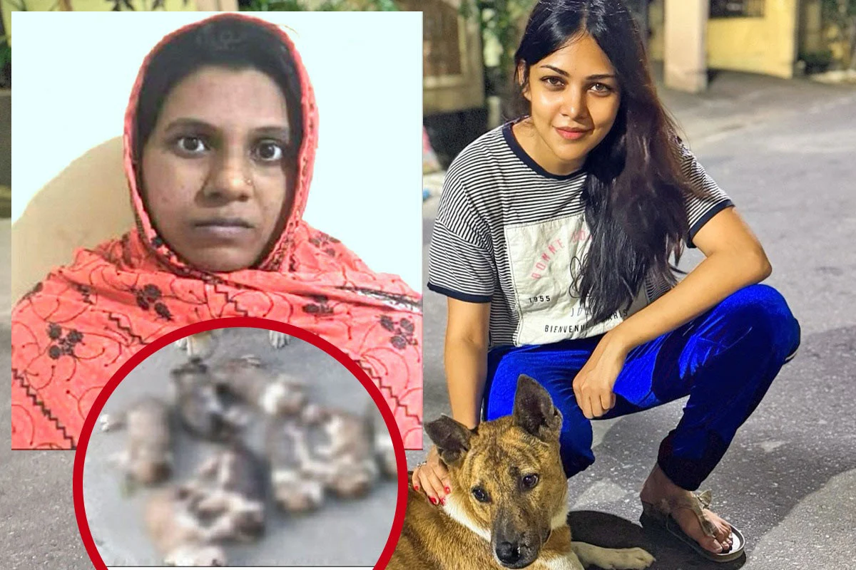 কুকুরছানাকে বস্তায় ভরে পুকুরে ডুবিয়ে হত্যায় পিয়া জান্নাতুলের ক্ষোভ